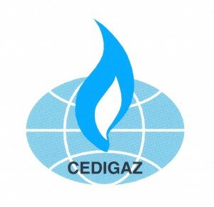 logoCedigaz